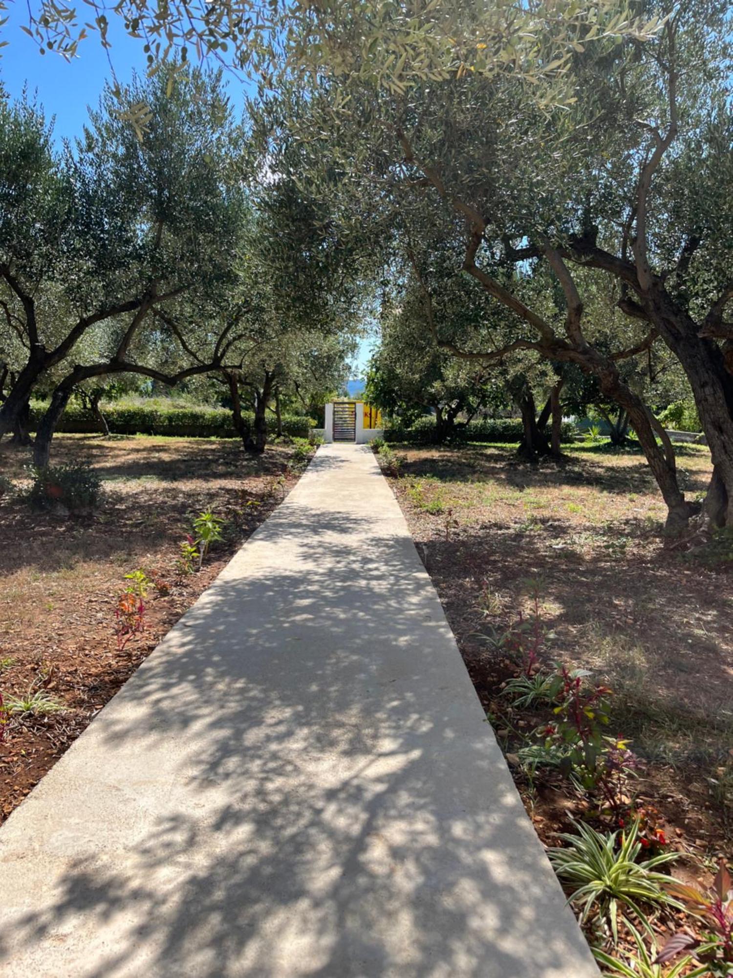 Apartman Oliva Zadar Luaran gambar